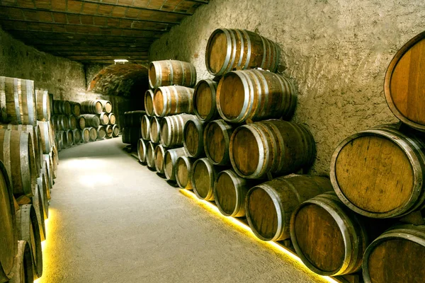 Wine barrels — Stock Photo, Image