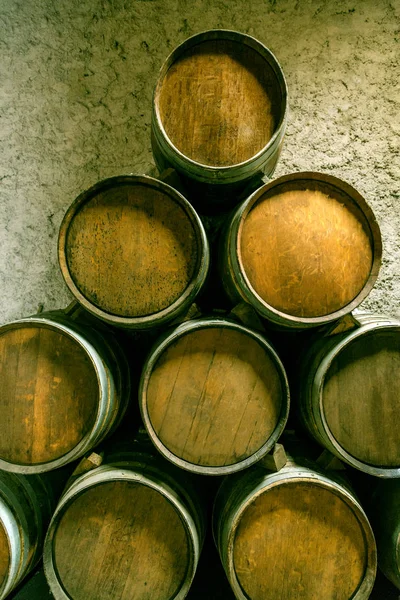 Canne da vino — Foto Stock