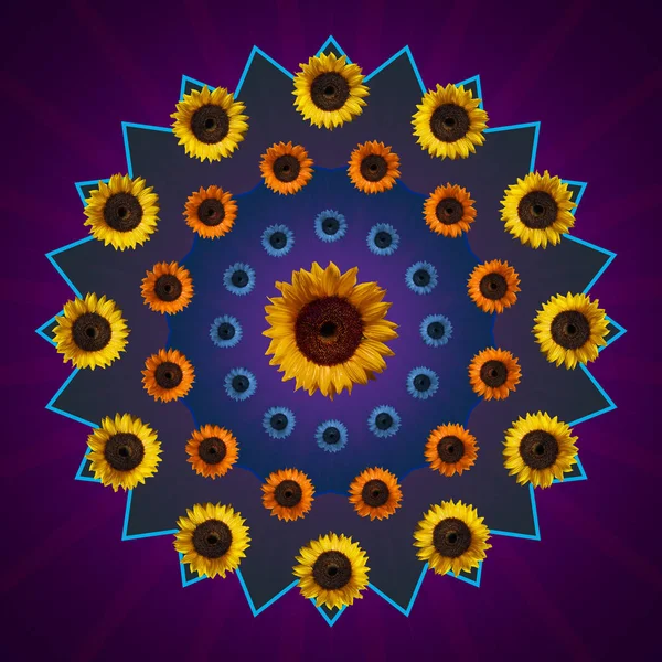 Sunflowers Abstract figures background