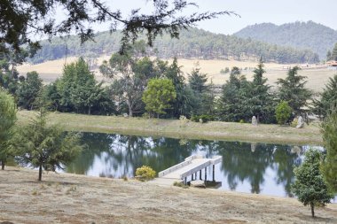 güzel görünümün detayı