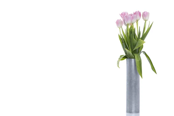 Ramo de hermosos tulipanes rosados sobre fondo blanco. —  Fotos de Stock