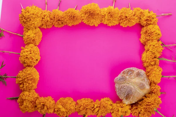明るいピンクの背景にCempazucitl花とメキシコの頭蓋骨 — ストック写真