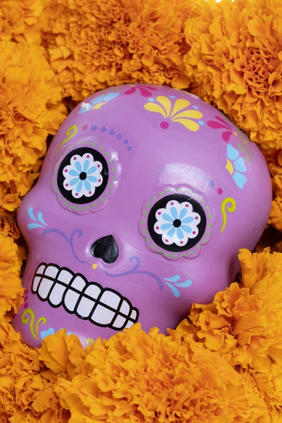 Cempazuchitl kwiaty i meksykańskiej czaszki na dzień zmarłych i — Zdjęcie stockowe