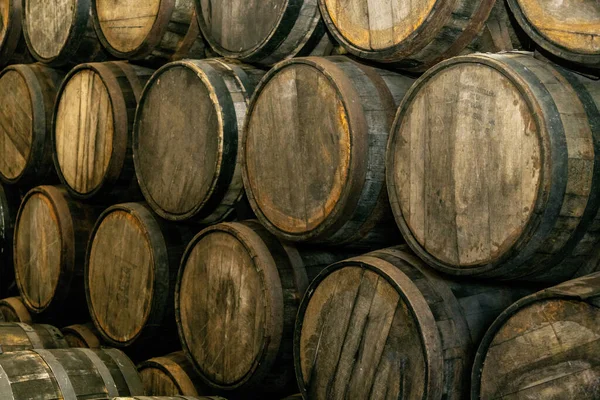 葡萄酒桶堆放在酿酒厂的旧地下室里 — 图库照片