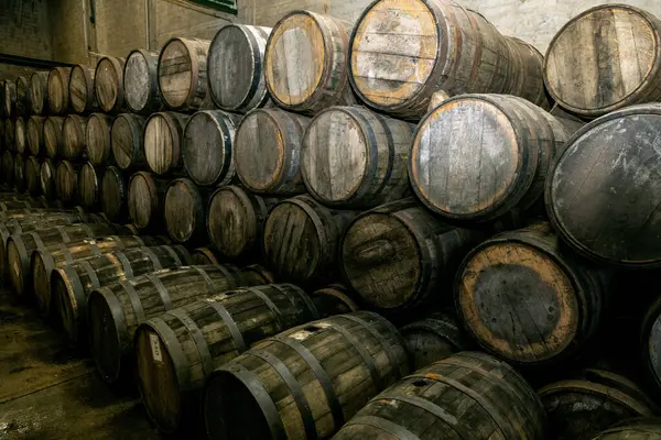 Wine Barrels Stacked Old Cellar Winery — Stock Photo, Image