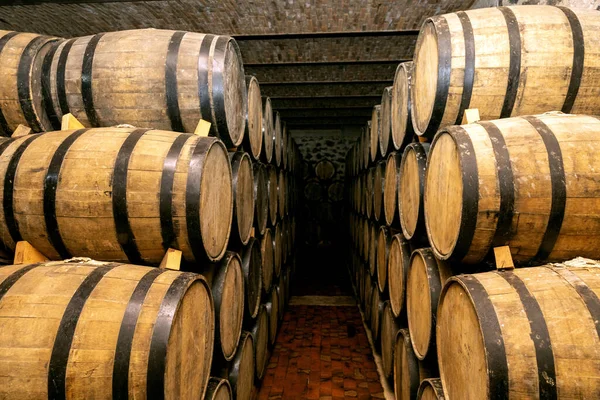 Wine Barrels Stacked Old Cellar Winery — Stock Photo, Image