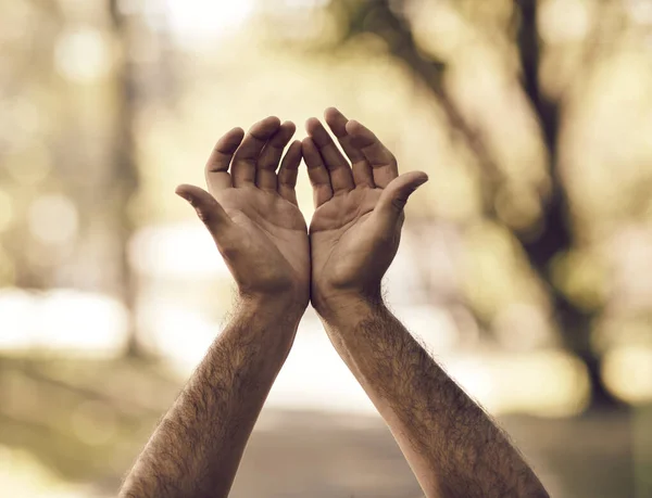 Geistliche Hände Mann Beim Tagesgebet Wald — Stockfoto
