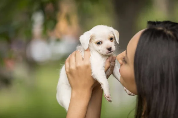 Bella Giovane Donna Latina Nel Parco Con Piccolo Cucciolo Bianco — Foto Stock