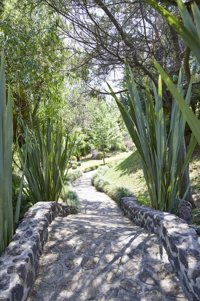 Jardín Zen Con Lagos Ríos Hermosa Vista Bosque Mazamitla México — Foto de Stock
