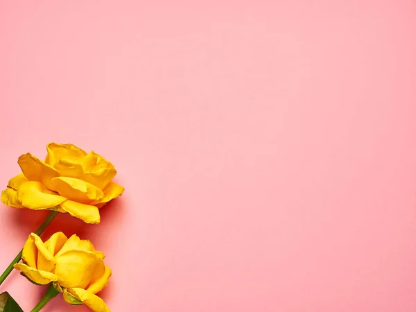 Pembe bahar arka planında iki sarı gül