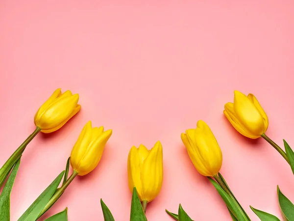 Pembe arka planda sarı bahar laleleri, Kadınlar Günü fotokopi alanı