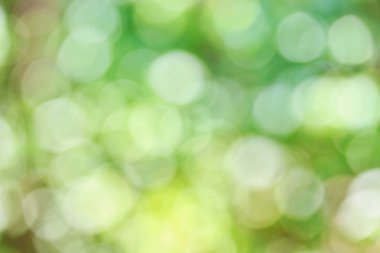 Güneş ışığı için yeşil arka plan bulanıklık