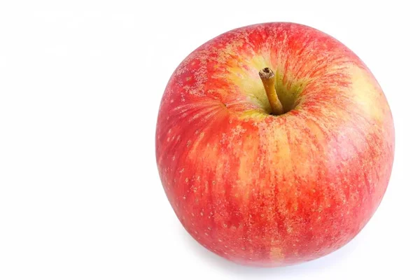 Gala real orgânica fresca Apple — Fotografia de Stock