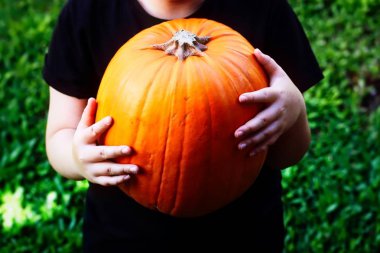 Çocuk holding kabak