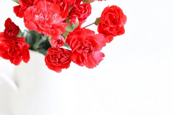Ένα Μάτσο Όμορφα Κόκκινα Γαρίφαλο Λουλούδια Λευκό Φόντο — Φωτογραφία Αρχείου
