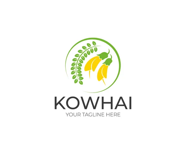 Kowhai Logo Şablonu Çiçek Vektör Tasarımı Bitki Çizimi — Stok Vektör