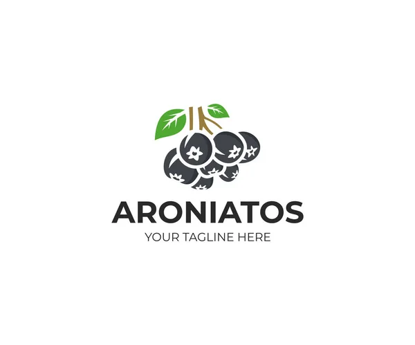Aronia Berry Λογότυπο Πρότυπο Chokeberry Διανυσματικό Σχέδιο Λογότυπο Φρούτων — Διανυσματικό Αρχείο