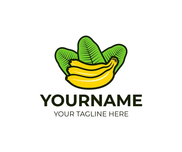 Trs Banánů Listy Logo Šablona Tropické Exotické Ovoce Vektorová Design — Stockový vektor