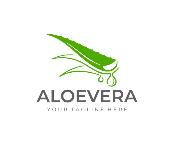 Aloe Vera Planta Logotipo Design Planta Herbácea Design Vetor Gota — Vetor de Stock