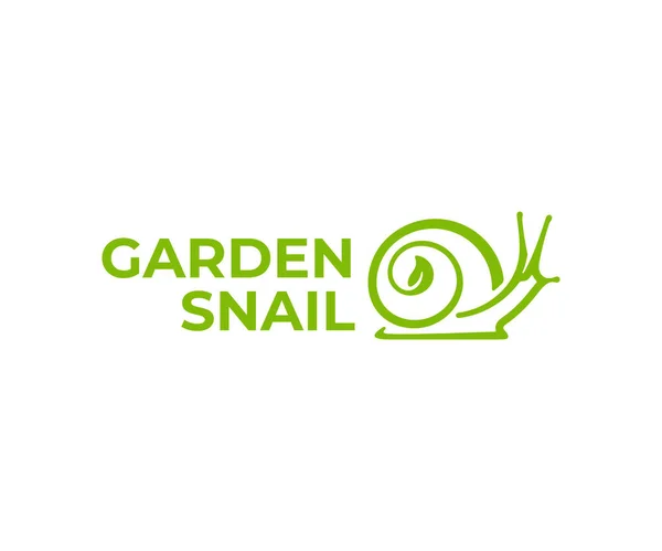 Σαλιγκάρι Στο Σχέδιο Λογότυπο Κέλυφος Σαλιγκάρι Κήπου Σχέδιο Διάνυσμα Φύλλων — Διανυσματικό Αρχείο
