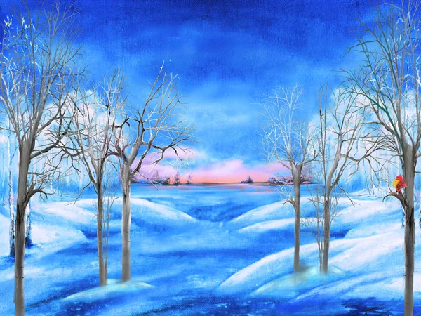 Prachtige Winterlandschap Met Naakte Bomen — Stockfoto