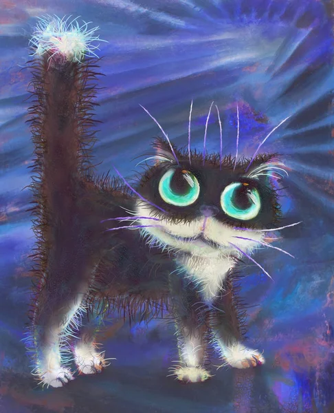 Portret Czarny Kot Niebieskie Tło — Zdjęcie stockowe