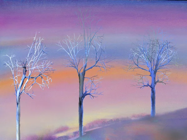 Drei Nackte Bäume Bei Sonnenaufgang Morgen — Stockfoto