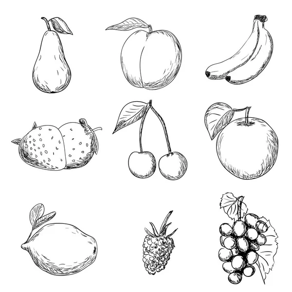 Ручные плоды — стоковый вектор