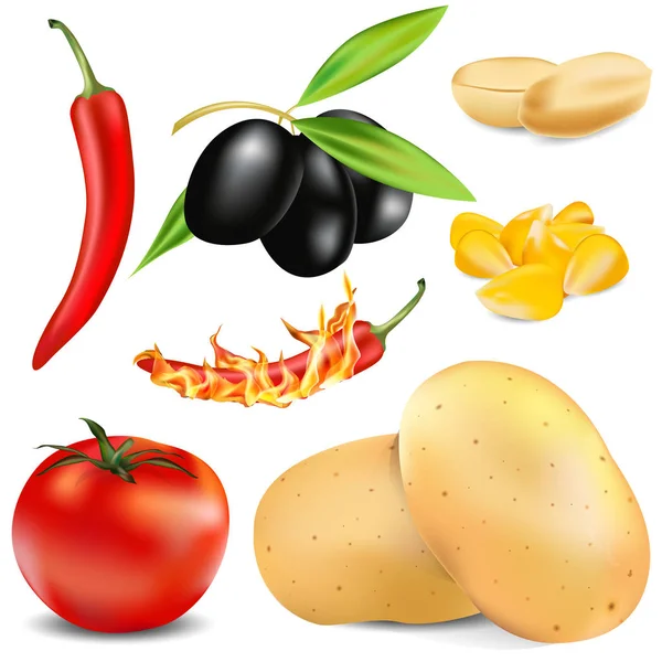 Set of vegetables and fruits — Stock Vector