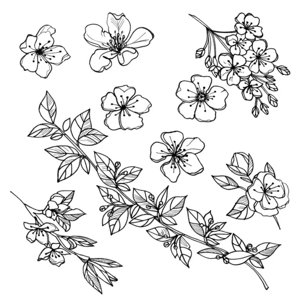 Seamless pattern of flowers and branches of apple trees, drawn by a black liner.