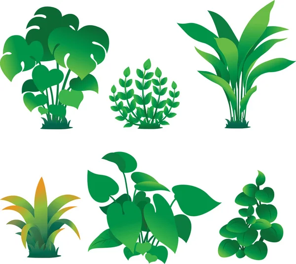 Векторная Графика Растительного Элемента — стоковый вектор