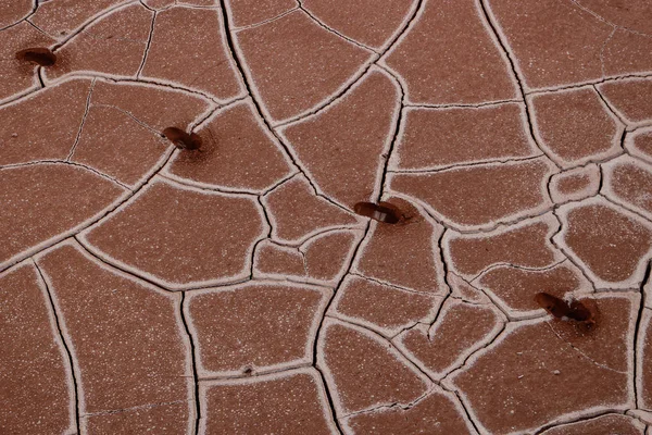 Foot Print in Cracked Sand — Stock Photo, Image