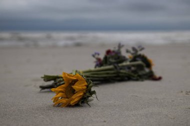 Sahilde atılmış çiçekler dalgalar içeri girerken yüzükoyun yatıyordu..