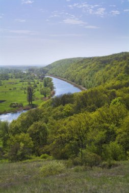Orman ve nehir Spring.April.Ukraine.Vertical çerçevesinde.