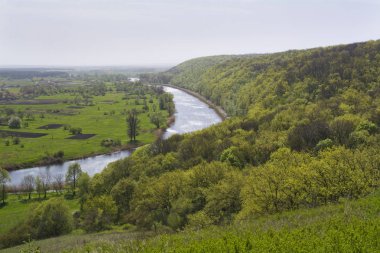 Orman ve nehir Spring.April.Ukrainian peyzaj.