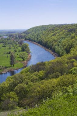 Orman ve nehir Spring.April.Vertical çerçevesinde.