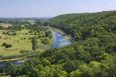 Orman ve nehir manzara. Ukraine.Summer.August.