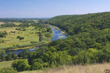 Orman ve nehir manzara. Ukraine.Lugansk bölge. Summer.Au