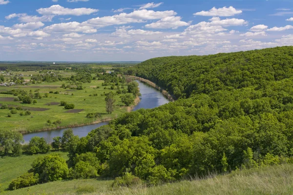 Лес и река в Спринг.Май . Стоковое Изображение