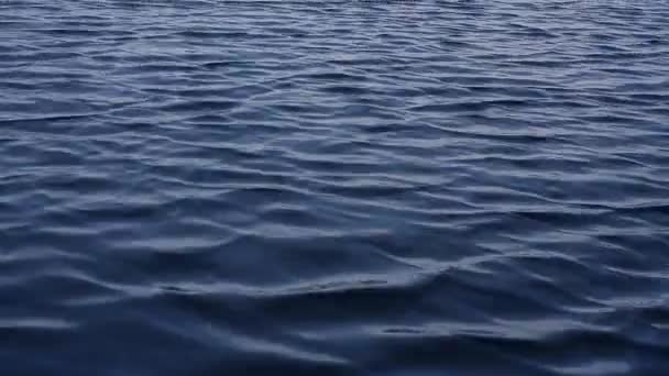 Vítr vytváří modré vlny na povrchu malého jezera. Zavřít. Ukrajina, region Lugansk.