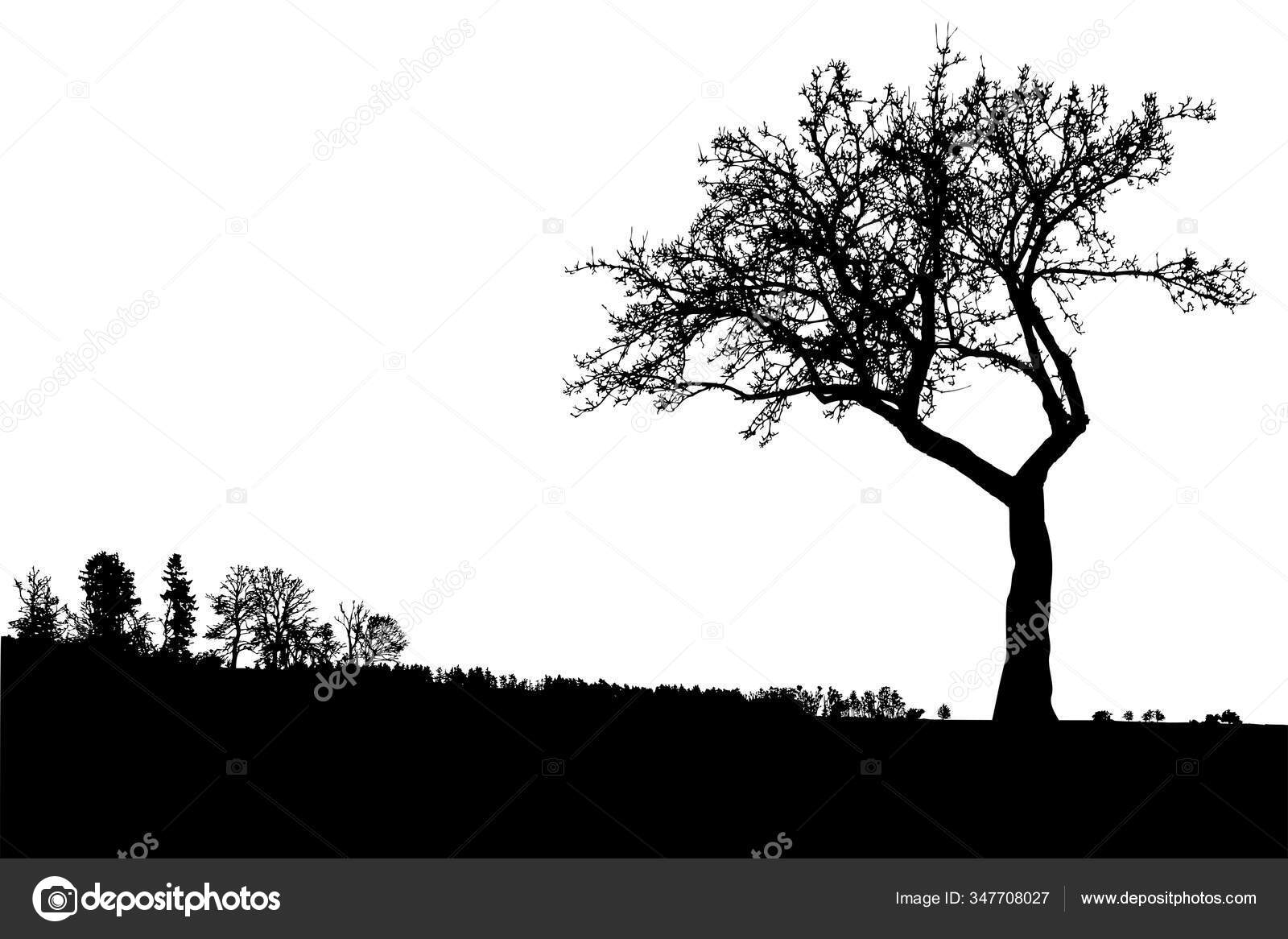 树的轮廓和光秃秃的枝条的树远处的冬季风景树和黑色的文字空间与世隔绝图库矢量图©Vendelina 347708027, image size:1600x1166