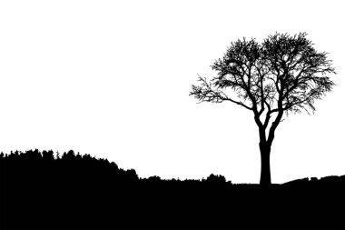 Ağaç silueti ve dalları çıplak ağaçlar. Kış manzaralı ağaçlar uzaktaki manzara ve metin için siyah alan, izole edilmiş 