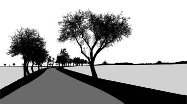 Ağacın çıplak dallarıyla siyah silueti - kış manzarası - uzaktaki ağaçlar - yol boyunca ağaçlar - manzara