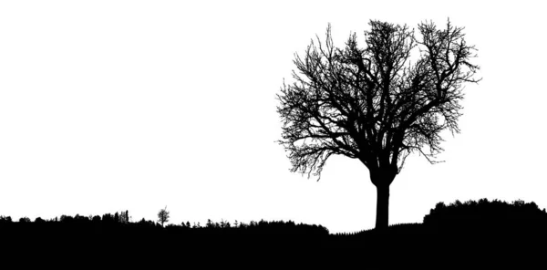 Silhouette Arbre Buisson Arbres Avec Des Branches Nues Paysages Hivernaux — Image vectorielle