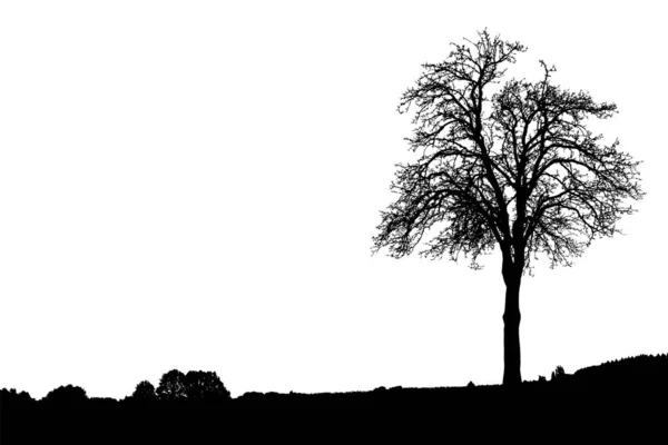 Silueta Stromu Keře Stromů Holými Větvemi Zimní Krajina Stromy Daleká — Stockový vektor