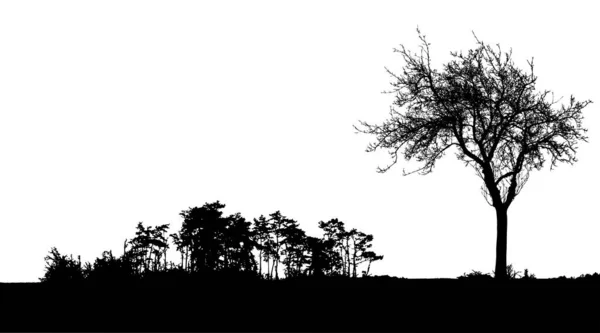 树的轮廓 和光秃秃的枝条的树 远处的冬季风景树和黑色的文字空间 与世隔绝 — 图库矢量图片