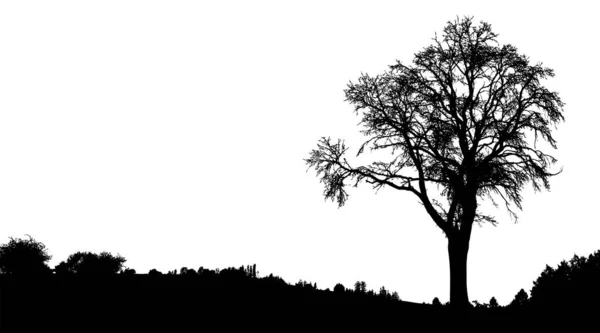 Silhouette Arbre Buisson Arbres Avec Des Branches Nues Paysages Hivernaux — Image vectorielle