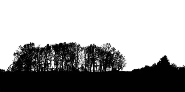 Σιλουέτα Δέντρου Και Θάμνος Δέντρων Γυμνά Κλαδιά Χειμερινό Τοπίο Δέντρα — Διανυσματικό Αρχείο