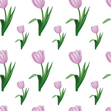 Beyaz arka planda kusursuz laleler var. Ambalaj kağıdı, tebrik kartı, tekstil, bahar ve yaz süslemeleri için ideal.