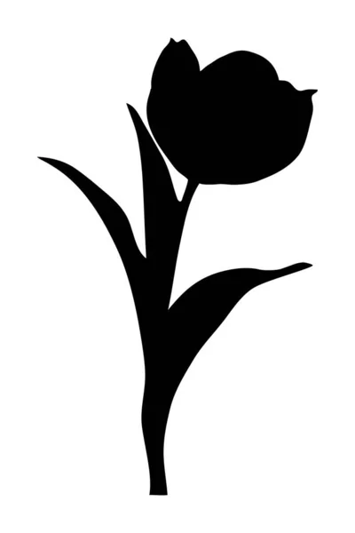 Цветок Тюльпана Тремя Листьями Черная Иллюстрация Силуэта Изолированный — стоковый вектор